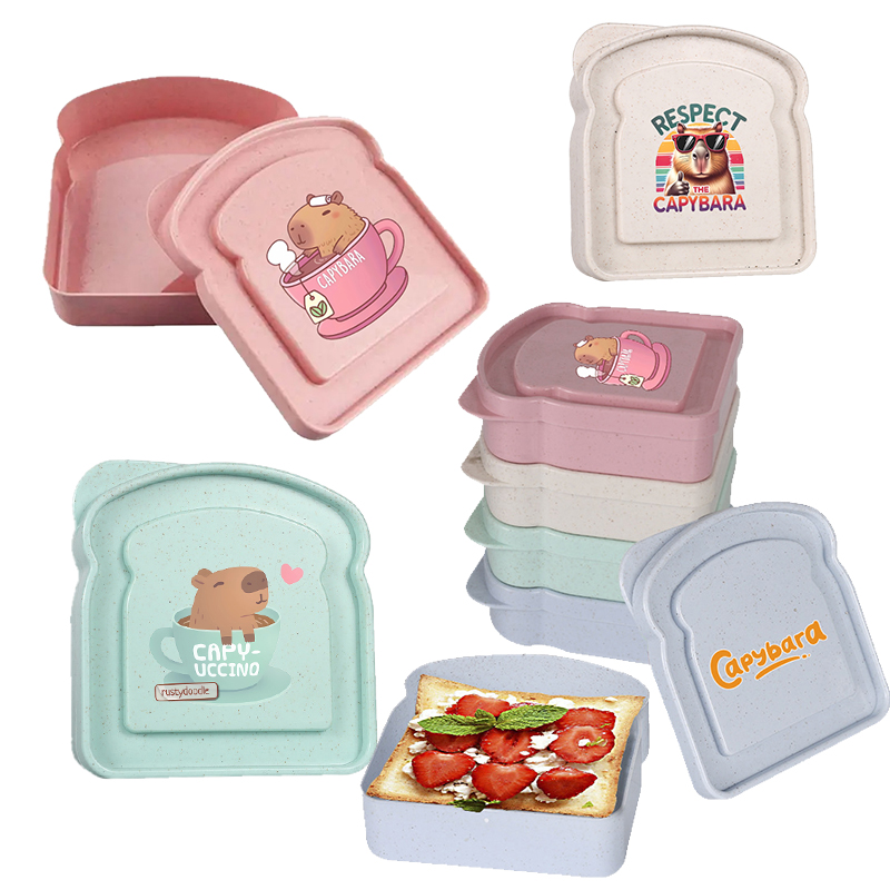 Food Snacks Packaging - Capybara Sandwich-Aufbewahrungsbox für Lebensmittel, Behälter für